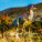 NOTIQUE Poznámkový kalendář Dinosauři 2027, 30 x 30 cm - pgp-36306-v_10 - variant Pg PGP-36306-V