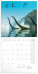 NOTIQUE Poznámkový kalendář Dinosauři 2027, 30 x 30 cm - pgp-36306-v_kal - variant Pg PGP-36306-V
