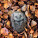 NOTIQUE Poznámkový kalendář Mláďata 2027, 30 x 30 cm - pgp-36314-v_11 - variant Pg PGP-36314-V