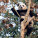 NOTIQUE Poznámkový kalendář Pandy 2027, 30 x 30 cm - pgp-36316-v_11 - variant Pg PGP-36316-V