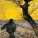 NOTIQUE Poznámkový kalendář Vincent van Gogh 2027, 30 x 30 cm - pgp-36328-v_10 - variant Pg PGP-36328-V