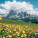 NOTIQUE Poznámkový kalendář Alpy 2027, 30 x 30 cm - pgp-36332-v_05 - variant Pg PGP-36332-V