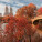 NOTIQUE Notizblock New York 2027, 30 x 30 cm - pgp-36336-v_11 - variant Pg PGP-36336-V