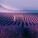 NOTIQUE Poznámkový kalendář Provence 2027, 30 x 30 cm - pgp-36339-v_01 - variant Pg PGP-36339-V