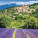 NOTIQUE Poznámkový kalendář Provence 2027, 30 x 30 cm - pgp-36339-v_02 - variant Pg PGP-36339-V