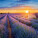 NOTIQUE Poznámkový kalendář Provence 2027, 30 x 30 cm - pgp-36339-v_09 - variant Pg PGP-36339-V