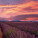 NOTIQUE Poznámkový kalendář Provence 2027, 30 x 30 cm - pgp-36339-v_11 - variant Pg PGP-36339-V