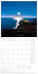 NOTIQUE Notepad Calendar Month 2027, 30 x 30 cm - pgp-36343-z_kal - variant Pg PGP-36343-Z