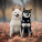 NOTIQUE Poznámkový kalendář Happy Doge 2027, 30 x 30 cm - pgp-36617-v_01 - variant Pg PGP-36617-V