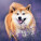 NOTIQUE Poznámkový kalendář Happy Doge 2027, 30 x 30 cm - pgp-36617-v_07 - variant Pg PGP-36617-V