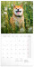 NOTIQUE Poznámkový kalendář Happy Doge 2027, 30 x 30 cm - pgp-36617-v_kal - variant Pg PGP-36617-V