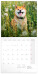 NOTIQUE Poznámkový kalendář Happy Doge 2027, 30 x 30 cm - pgp-36617-z_kal - variant Pg PGP-36617-Z