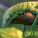 NOTIQUE Poznámkový kalendář Ještěry 2027, 30 x 30 cm - pgp-36826-v_03 - variant Pg PGP-36826-V