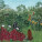 NOTIQUE Poznámkový kalendář Henri Rousseau 2027, 30 x 30 cm - pgp-36994-v_07 - variant Pg PGP-36994-V
