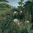 NOTIQUE Poznámkový kalendář Henri Rousseau 2027, 30 x 30 cm - pgp-36994-v_09 - variant Pg PGP-36994-V
