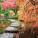 NOTIQUE Poznámkový kalendář Zahrady 2027, 30 x 30 cm - pgp-36831-v_01 - variant Pg PGP-36831-V