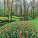 NOTIQUE Poznámkový kalendář Zahrady 2027, 30 x 30 cm - pgp-36831-v_04 - variant Pg PGP-36831-V