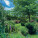 NOTIQUE Poznámkový kalendář Zahrady 2027, 30 x 30 cm - pgp-36831-v_10 - variant Pg PGP-36831-V