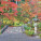 NOTIQUE Poznámkový kalendář Zahrady 2027, 30 x 30 cm - pgp-36831-v_11 - variant Pg PGP-36831-V