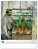 NOTIQUE Nástěnný kalendář Impresionismus 2027, 48 x 56 cm - pgn-36363-l_06 - variant Pg PGN-36363-L