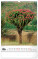 NOTIQUE Nástěnný kalendář Stromy 2027, 33 x 46 cm - pgn-36376-l_06 - variant Pg PGN-36376-L