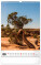 NOTIQUE Nástěnný kalendář Stromy 2027, 33 x 46 cm - pgn-36376-l_08 - variant Pg PGN-36376-L