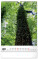 NOTIQUE Nástěnný kalendář Stromy 2027, 33 x 46 cm - pgn-36376-l_09 - variant Pg PGN-36376-L