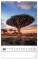 NOTIQUE Nástěnný kalendář Stromy 2027, 33 x 46 cm - pgn-36376-l_10 - variant Pg PGN-36376-L