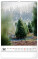 NOTIQUE Nástěnný kalendář Stromy 2027, 33 x 46 cm - pgn-36376-l_12 - variant Pg PGN-36376-L