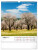 NOTIQUE Nástěnný kalendář Toulky moravskou krajinou CZ 2027, 30 x 34 cm - pgn-36869-l_04 - variant Pg PGN-36869-L