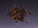 Chipotle drcené uzené papričky Jalapeño 30 g - s067010-2 - variant 