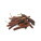 Pumpkin Spice 35 g - s067020-5 - variant 