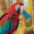 NOTIQUE Poznámkový kalendář Ohrožené druhy 2027, PLASTIC FREE, 30 x 30 cm - pgp-36828_05 - variant Pg PGP-36828