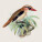 NOTIQUE Poznámkový kalendář Ptáčci 2027, PLASTIC FREE, 30 x 30 cm - pgp-36977_07 - variant Pg PGP-36977