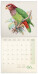 NOTIQUE Poznámkový kalendář Ptáčci 2027, PLASTIC FREE, 30 x 30 cm - pgp-36977_kal - variant Pg PGP-36977