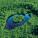 NOTIQUE Poznámkový kalendář Naše planeta 2027, PLASTIC FREE, 30 x 30 cm - pgp-36978_03 - variant Pg PGP-36978