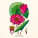 NOTIQUE Poznámkový kalendář Herbář Plastic FREE 2027, PLASTIC FREE, 30 x 30 cm - pgp-36979_05 - variant Pg PGP-36979