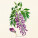NOTIQUE Poznámkový kalendář Herbář Plastic FREE 2027, PLASTIC FREE, 30 x 30 cm - pgp-36979_06 - variant Pg PGP-36979