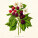 NOTIQUE Poznámkový kalendář Herbář Plastic FREE 2027, PLASTIC FREE, 30 x 30 cm - pgp-36979_08 - variant Pg PGP-36979