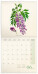 NOTIQUE Poznámkový kalendář Herbář Plastic FREE 2027, PLASTIC FREE, 30 x 30 cm - pgp-36979_kal - variant Pg PGP-36979