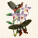 NOTIQUE Poznámkový kalendář Motýli FREE 2027, PLASTIC FREE, 30 x 30 cm - pgp-36980_02 - variant Pg PGP-36980