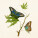 NOTIQUE Poznámkový kalendář Motýli FREE 2027, PLASTIC FREE, 30 x 30 cm - pgp-36980_04 - variant Pg PGP-36980