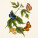 NOTIQUE Poznámkový kalendář Motýli FREE 2027, PLASTIC FREE, 30 x 30 cm - pgp-36980_09 - variant Pg PGP-36980