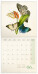 NOTIQUE Poznámkový kalendář Motýli FREE 2027, PLASTIC FREE, 30 x 30 cm - pgp-36980_kal - variant Pg PGP-36980