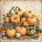 NOTIQUE Poznámkový kalendář Farmářské trhy 2027, PLASTIC FREE, 30 x 30 cm - pgp-36981_10 - variant Pg PGP-36981