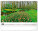 NOTIQUE Nástěnný kalendář Zahrady 2027, 48 x 33 cm - pgn-36372-l_03 - variant Pg PGN-36372-L