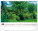 NOTIQUE Nástěnný kalendář Zahrady 2027, 48 x 33 cm - pgn-36372-l_08 - variant Pg PGN-36372-L