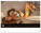 Nástěnný kalendář Summer Paradise 2027, 48 x 33 cm - pgn-36384-l_02 - variant Pg PGN-36384-L