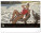 Nástěnný kalendář Summer Paradise 2027, 48 x 33 cm - pgn-36384-l_03 - variant Pg PGN-36384-L
