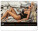Nástěnný kalendář Summer Paradise 2027, 48 x 33 cm - pgn-36384-l_07 - variant Pg PGN-36384-L